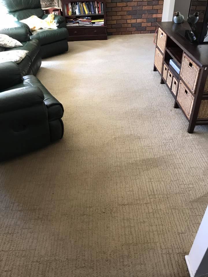 Residential Carpet Cleaning