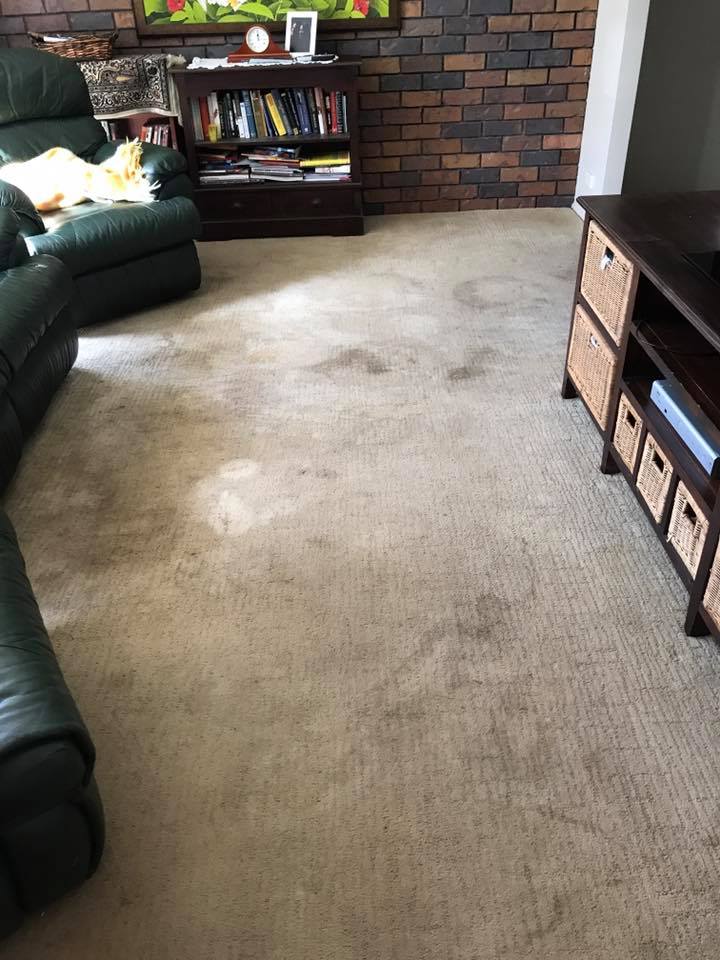 Residential Carpet Cleaning